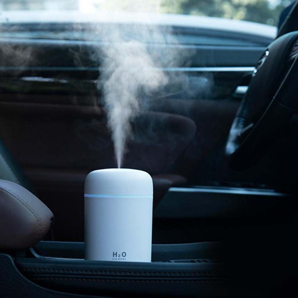Portable Air Essential Oil Diffuser for Car And Home